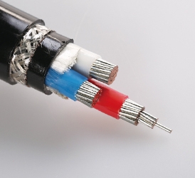 0.6,1KV 交联聚乙烯绝缘电力电缆 CJPF86 SC(2)