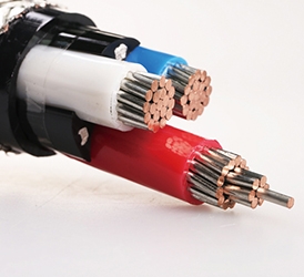 0.6,1KV 交联聚乙烯绝缘电力电缆 CJPF86 SC