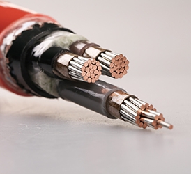 0.6,1KV Xlpe insulated power cable CJPF86 NC